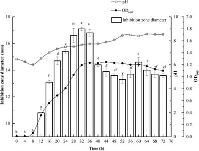 Genome-guided purification and characterization of polymyxin A1 from Paenibacillus thiaminolyticus SY20: A rarely explored member of polymyxins